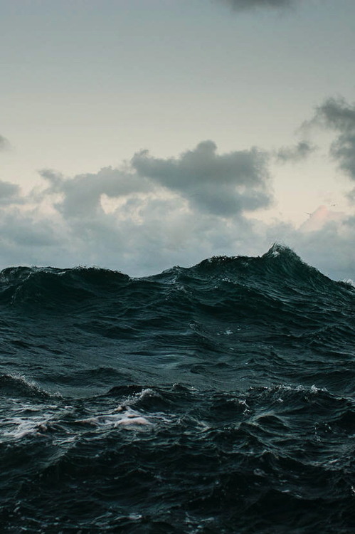 Archillect ID 78905