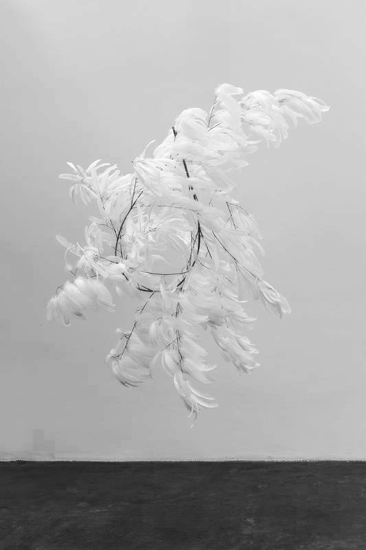 Archillect ID 78956