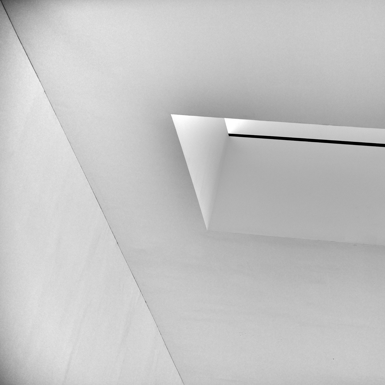 Archillect ID 78974