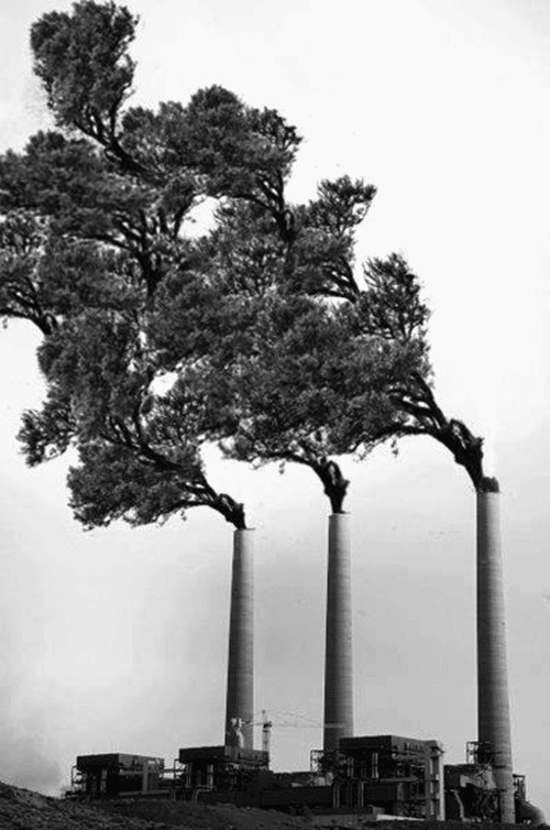 Archillect ID 79006