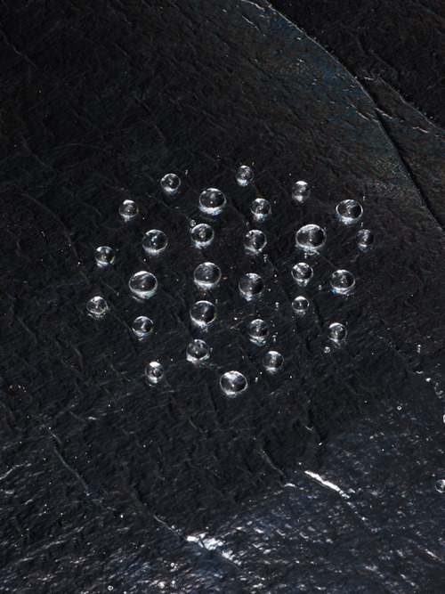Archillect ID 79037
