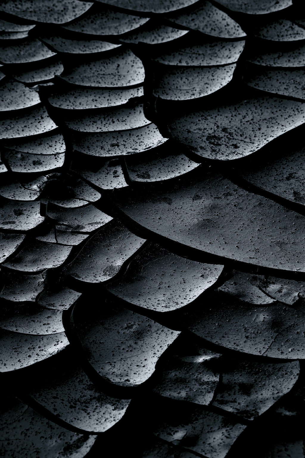 Archillect ID 79038