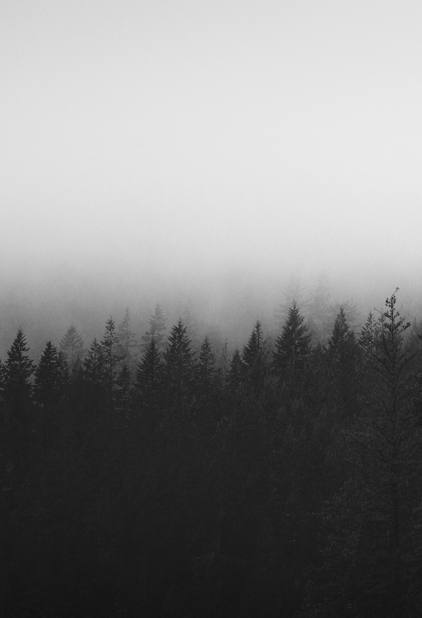 Archillect ID 79057