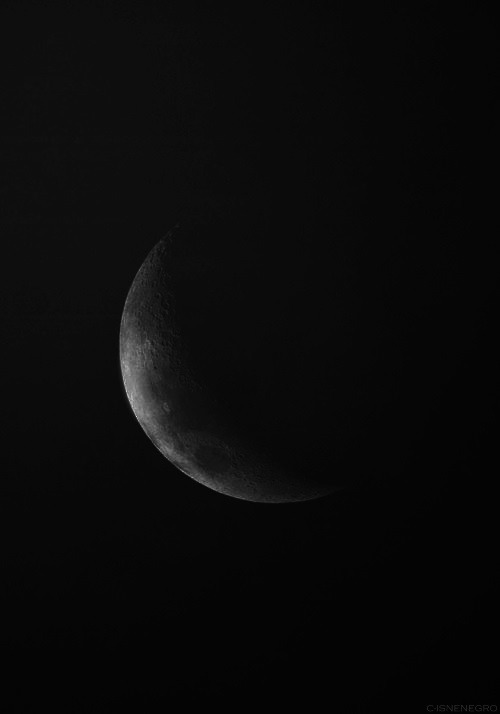 Archillect ID 79217