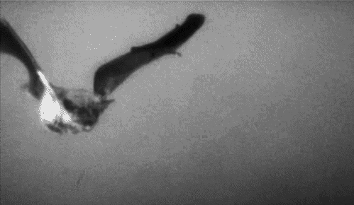 Archillect ID 79322