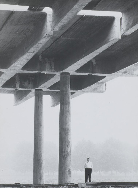 Archillect ID 79341