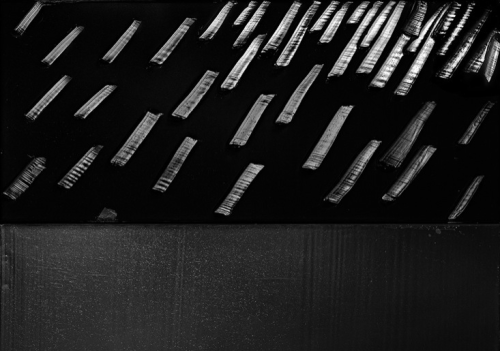 Archillect ID 79381
