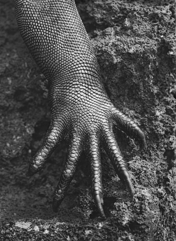 Archillect ID 79473