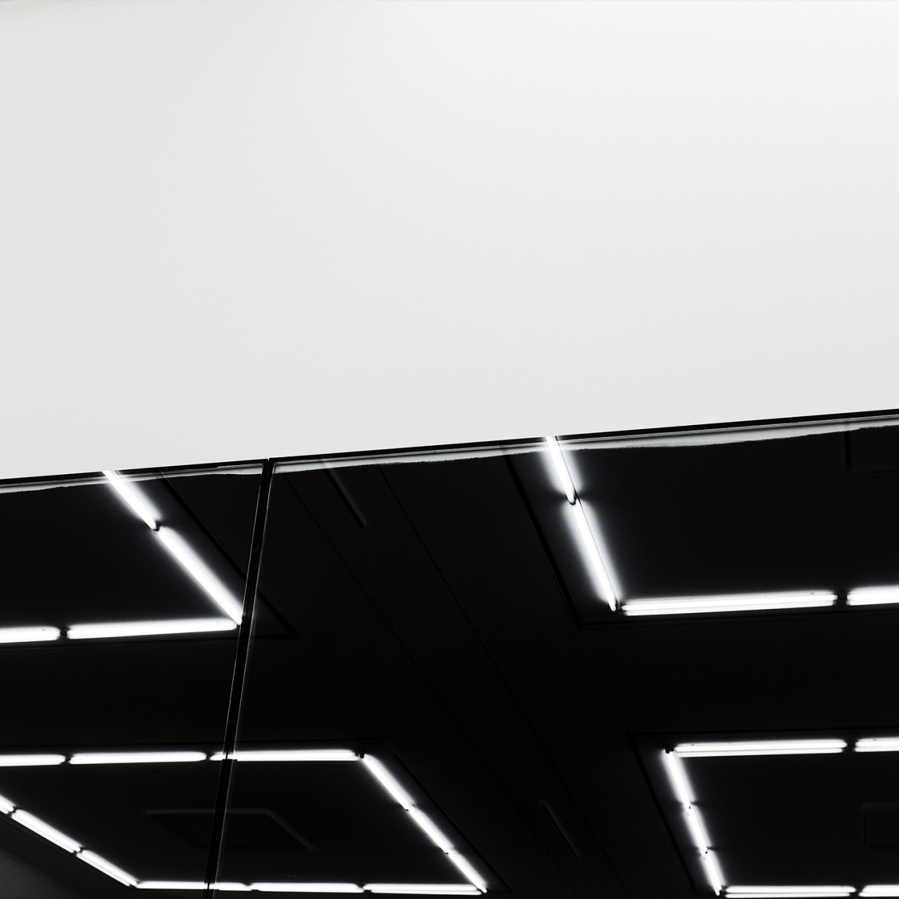 Archillect ID 79576