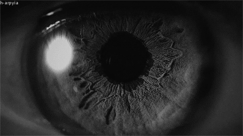 Archillect ID 79593