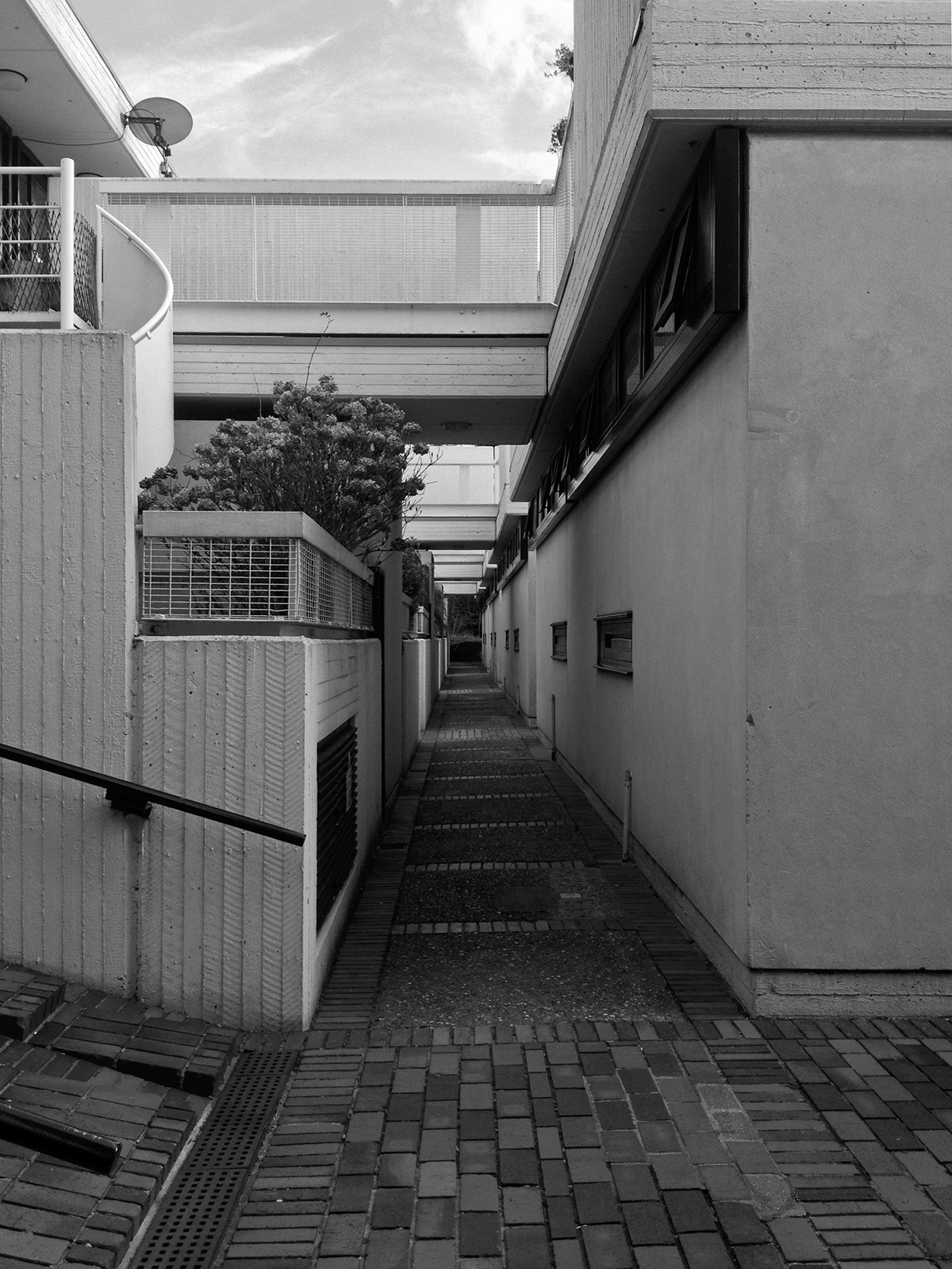 Archillect ID 79681
