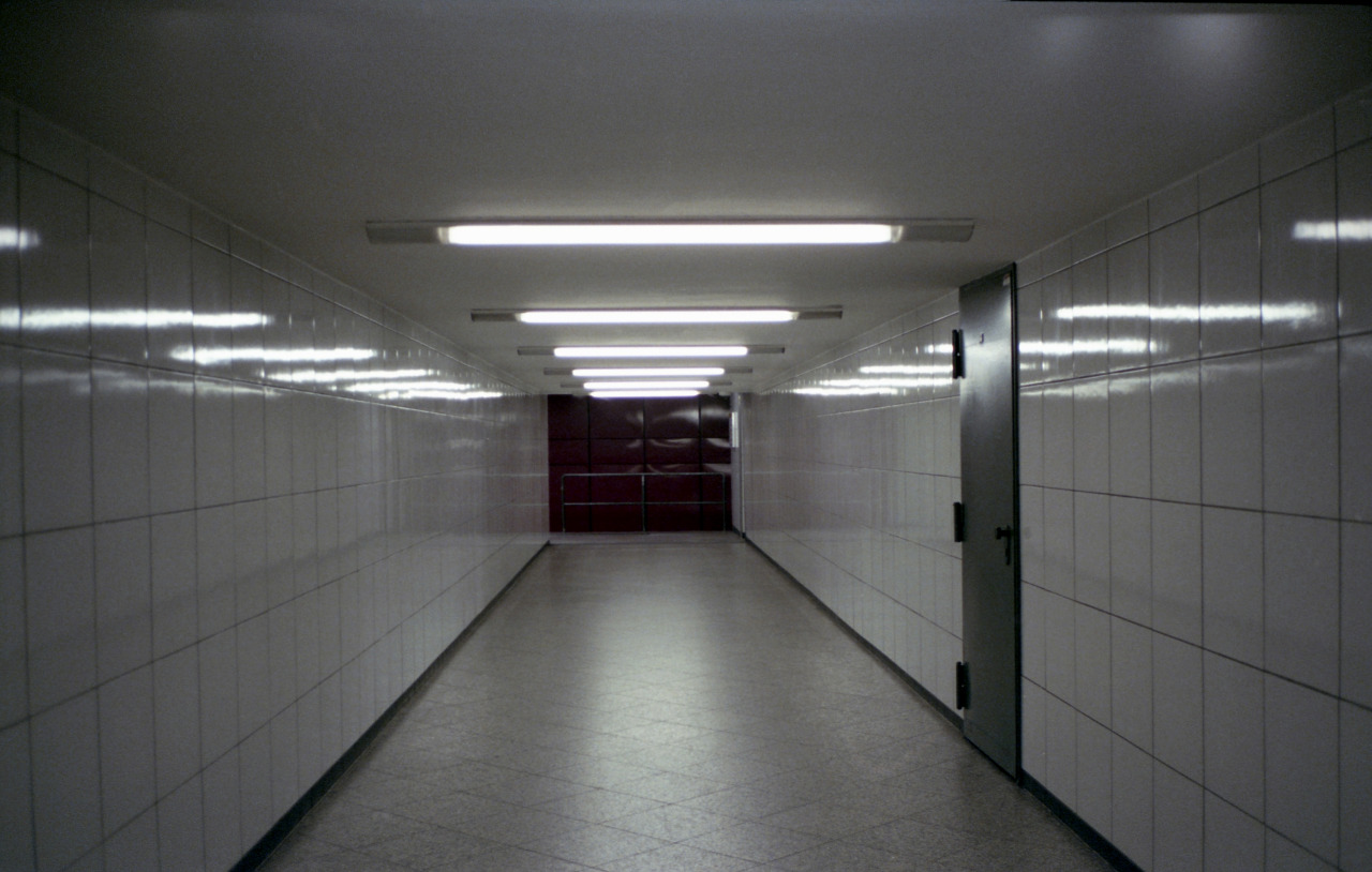 Archillect ID 79745