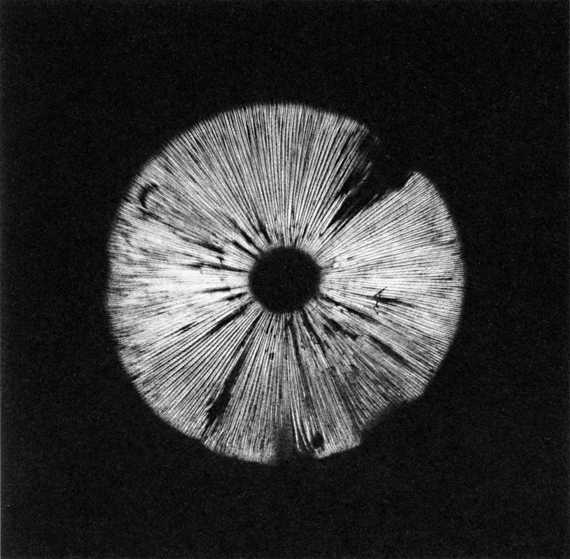 Archillect ID 79824