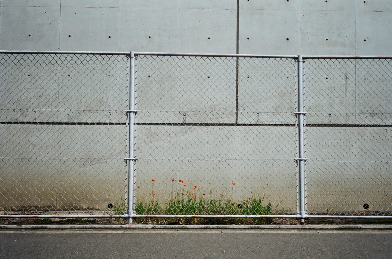 Archillect ID 79829