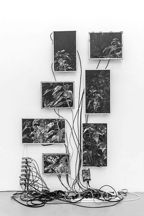 Archillect ID 79857