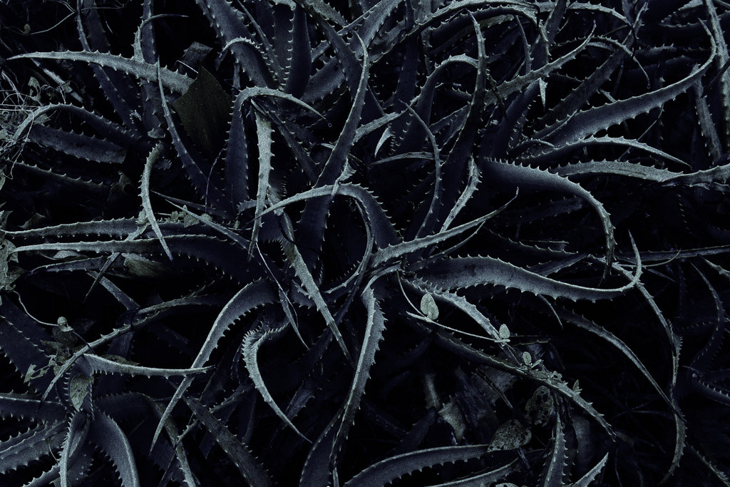 Archillect ID 79917