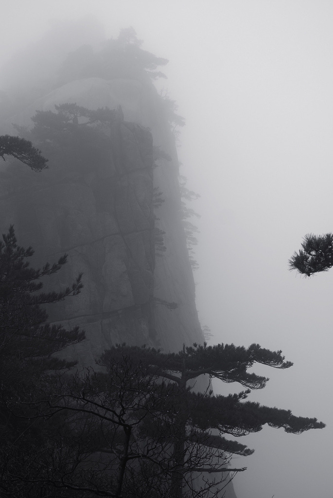 Archillect ID 79944