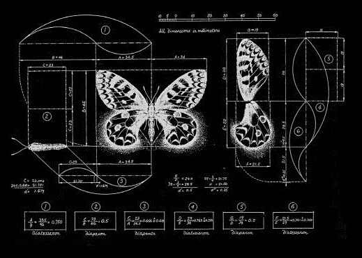 Archillect ID 79965
