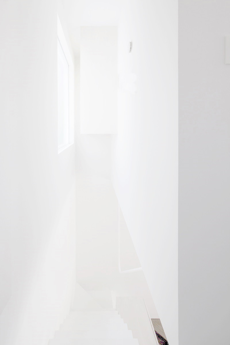 Archillect ID 80019