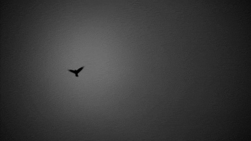Archillect ID 80021