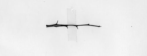 Archillect ID 80028