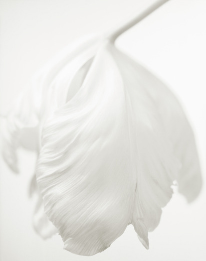 Archillect ID 80225