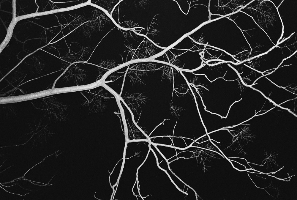 Archillect ID 80287