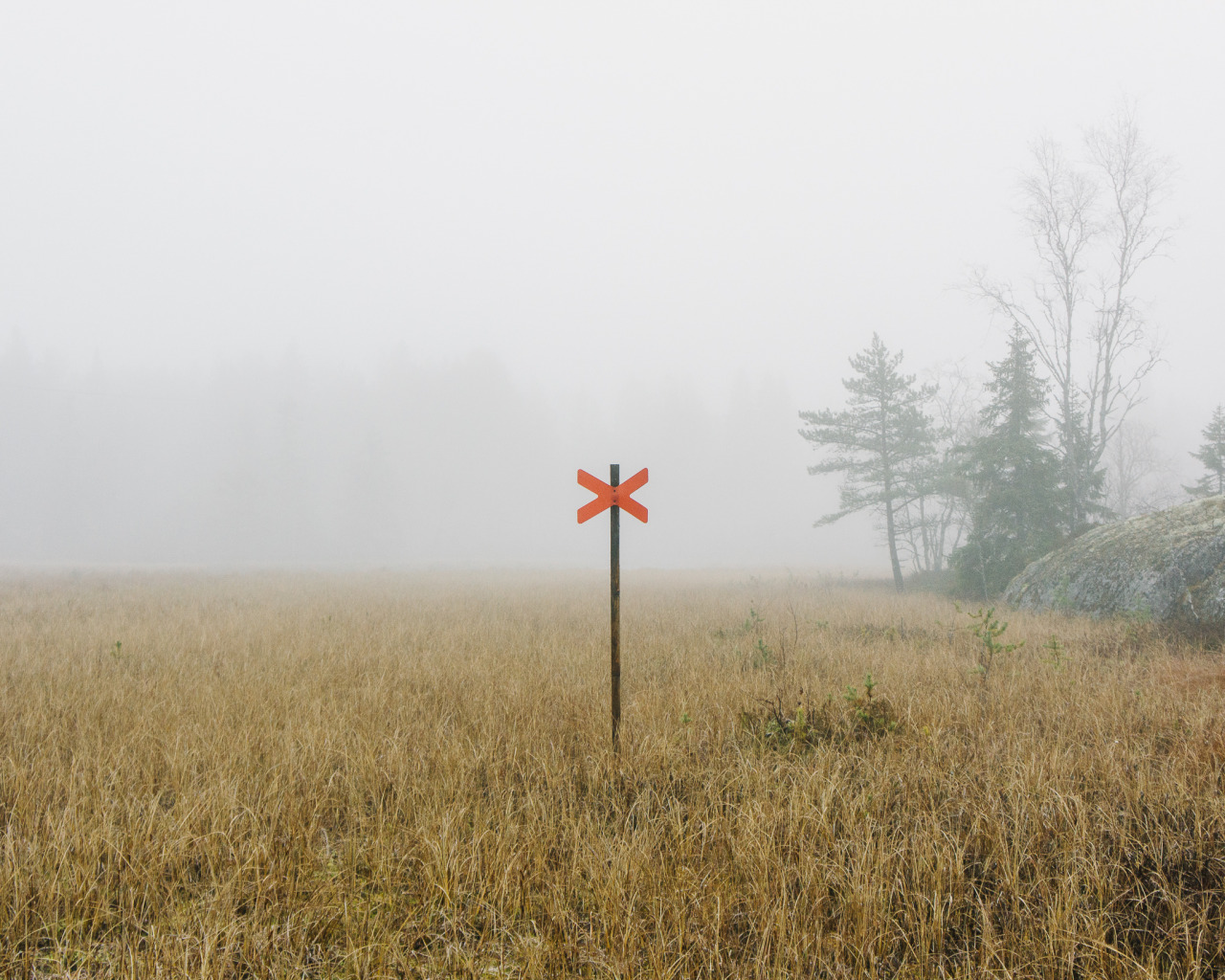 Archillect ID 80303