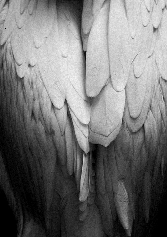 Archillect ID 80327