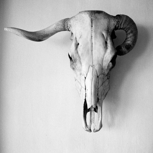 Archillect ID 80362
