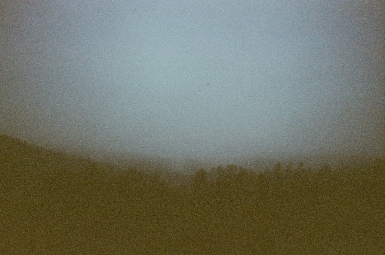 Archillect ID 80411