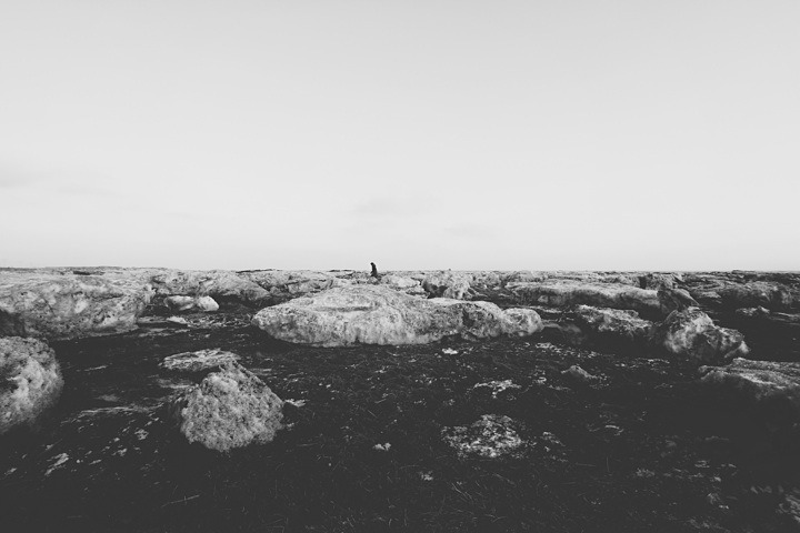 Archillect ID 80465