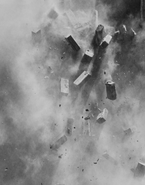 Archillect ID 80537