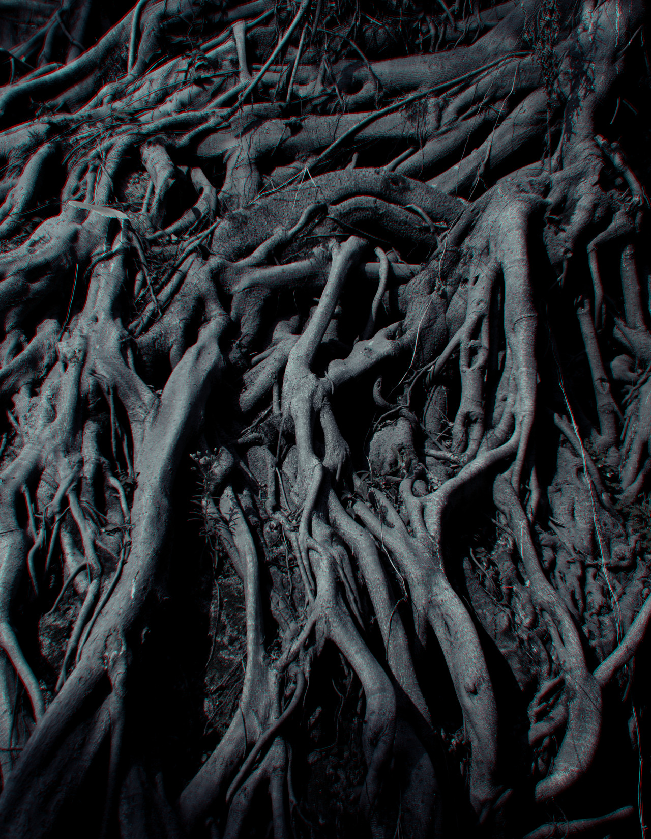 Archillect ID 80607