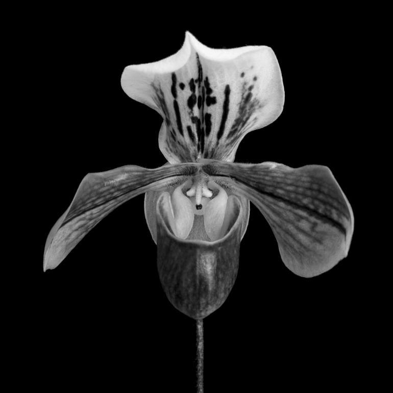 Archillect ID 80618