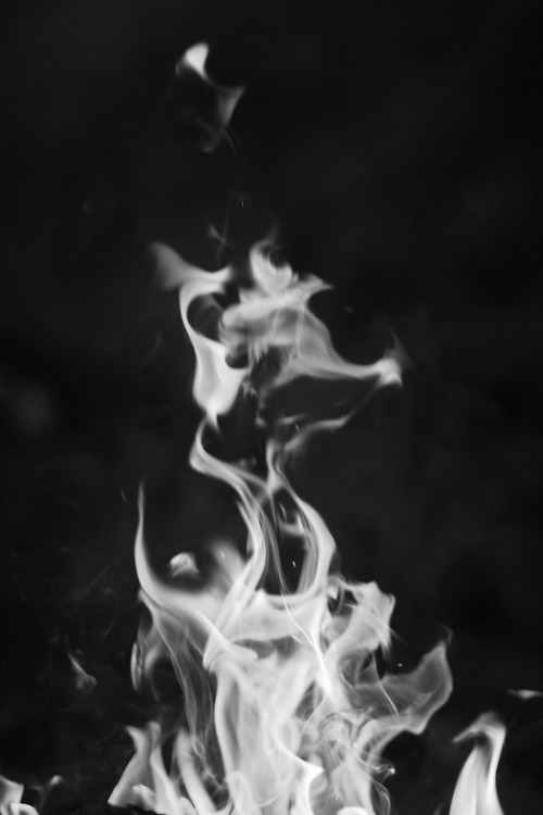 Archillect ID 80655