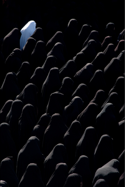 Archillect ID 80681