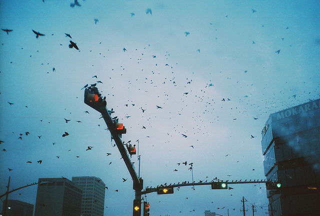 Archillect ID 80708