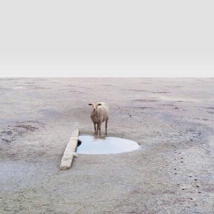 Archillect ID 80756