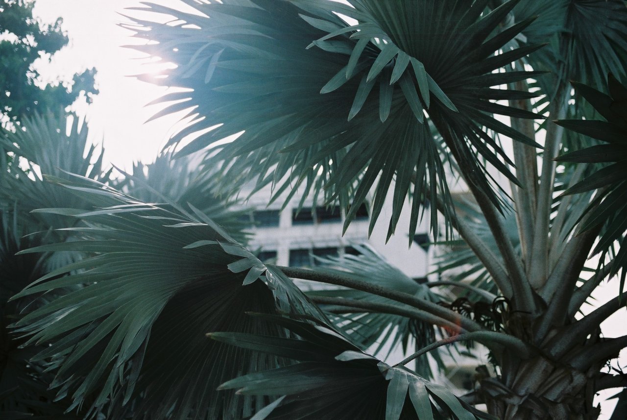 Archillect ID 80832