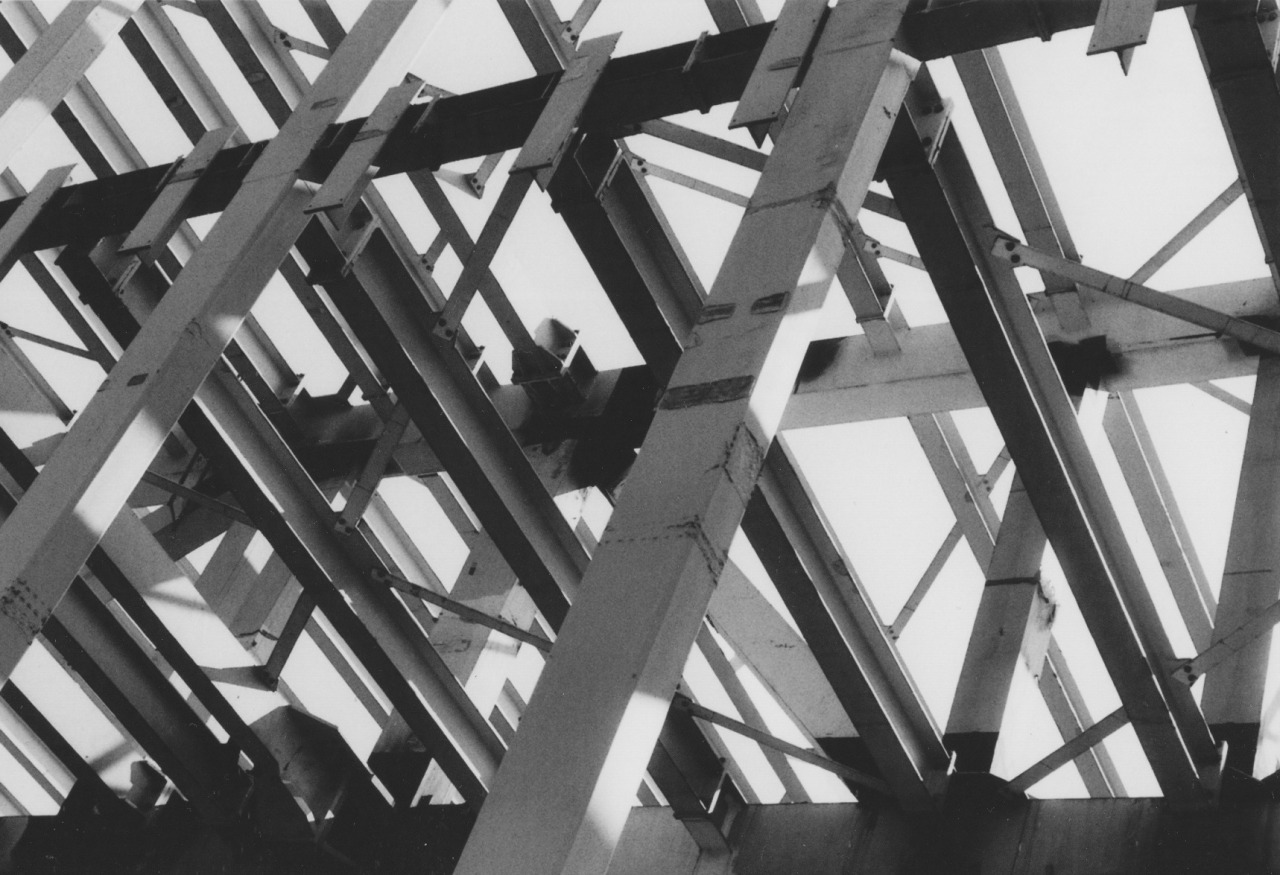 Archillect ID 80955