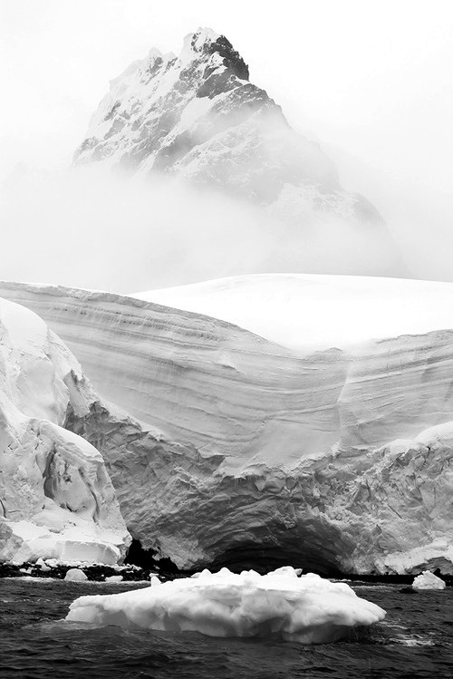 Archillect ID 80982