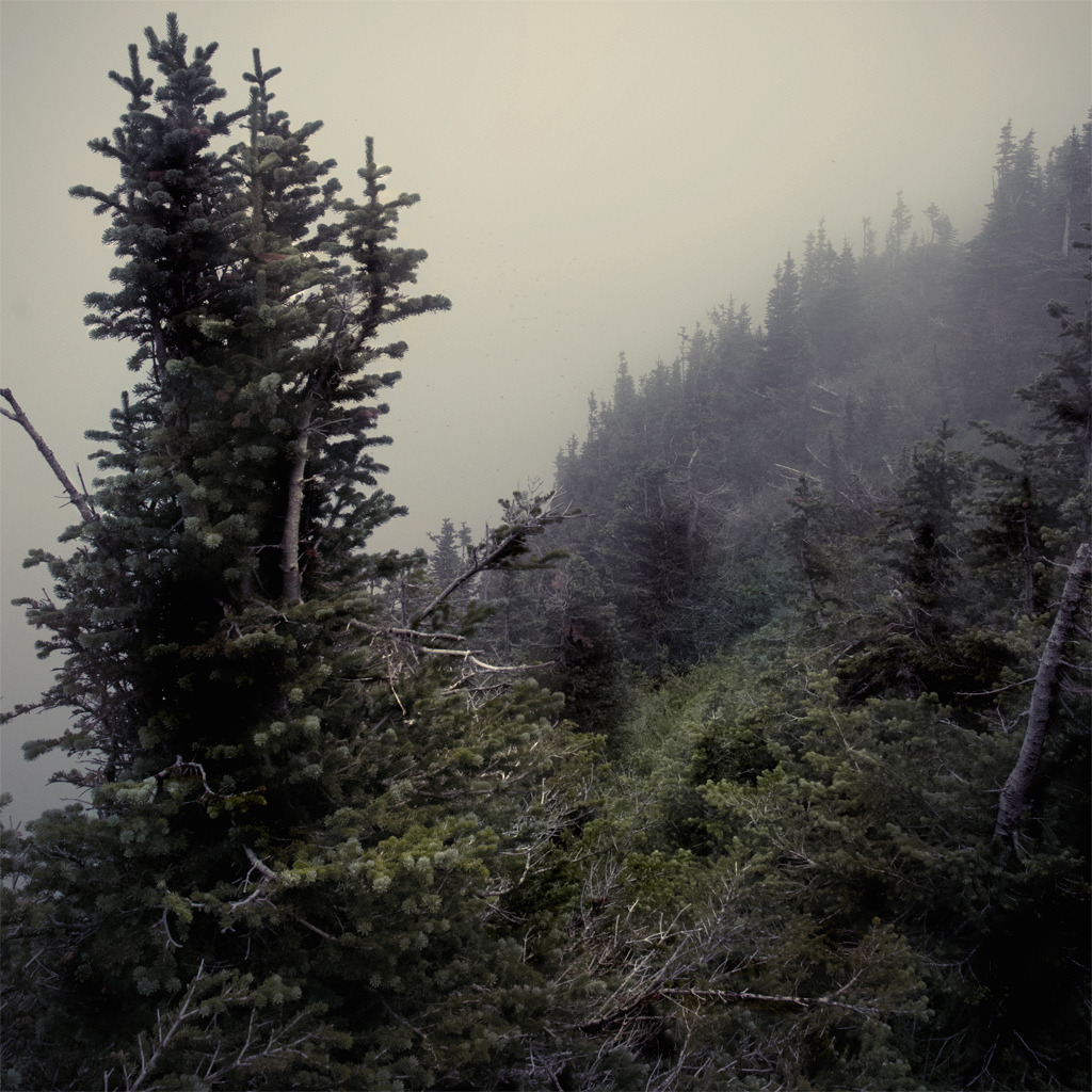Archillect ID 81002