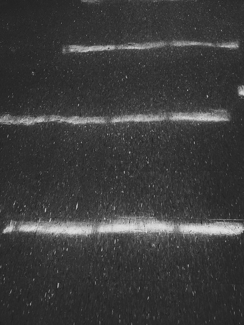 Archillect ID 81004