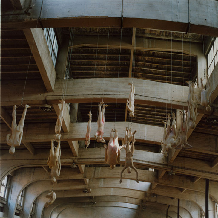 Archillect ID 81009