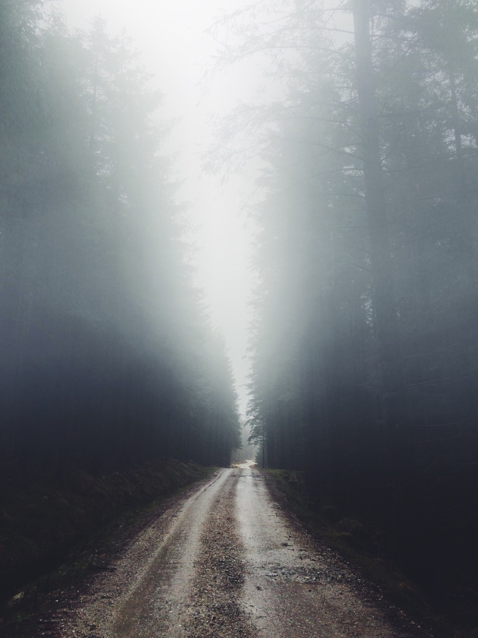 Archillect ID 81028