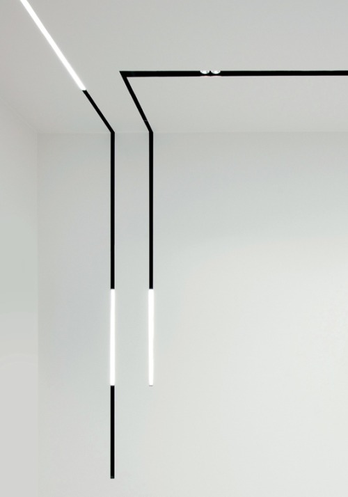 Archillect ID 81074