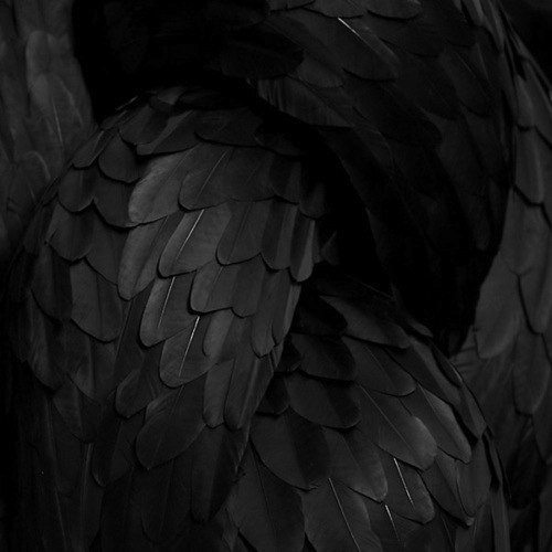 Archillect ID 81083