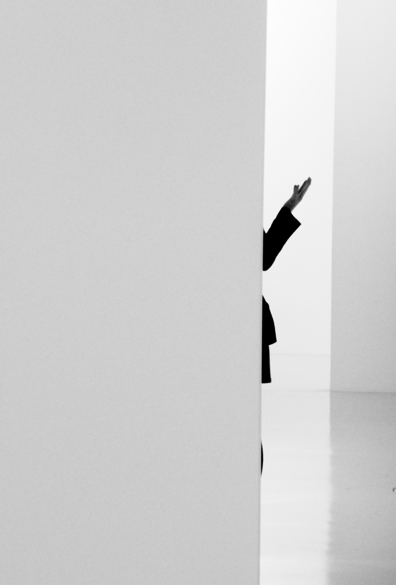 Archillect ID 81132