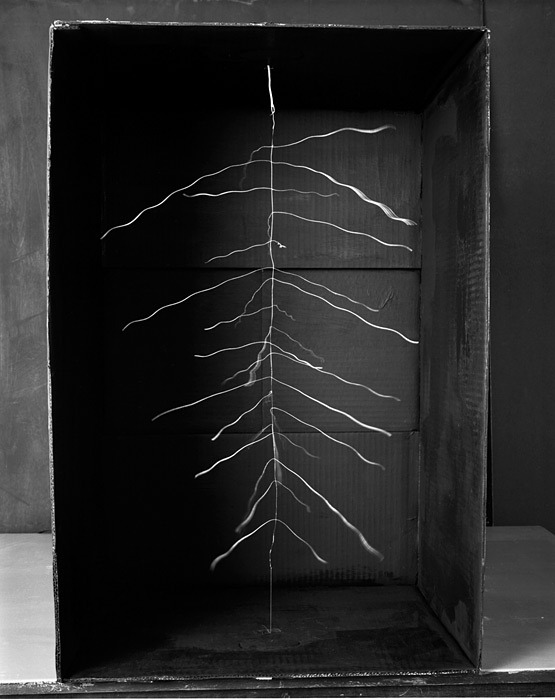 Archillect ID 81159
